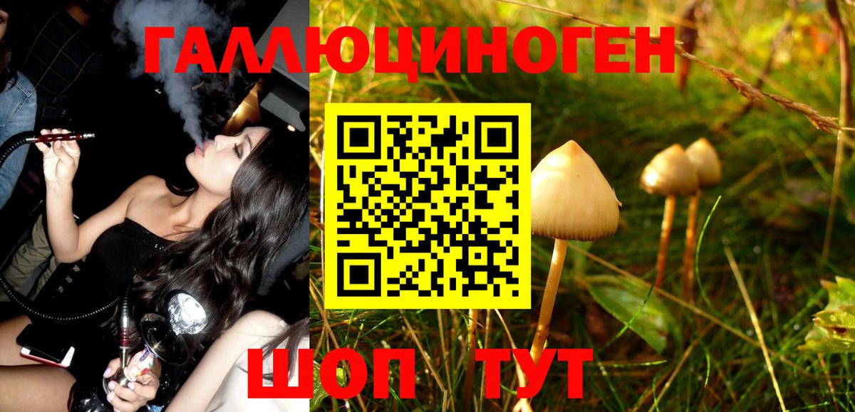 Псилоцибиновые грибы MAGIC MUSHROOMS Кропоткин