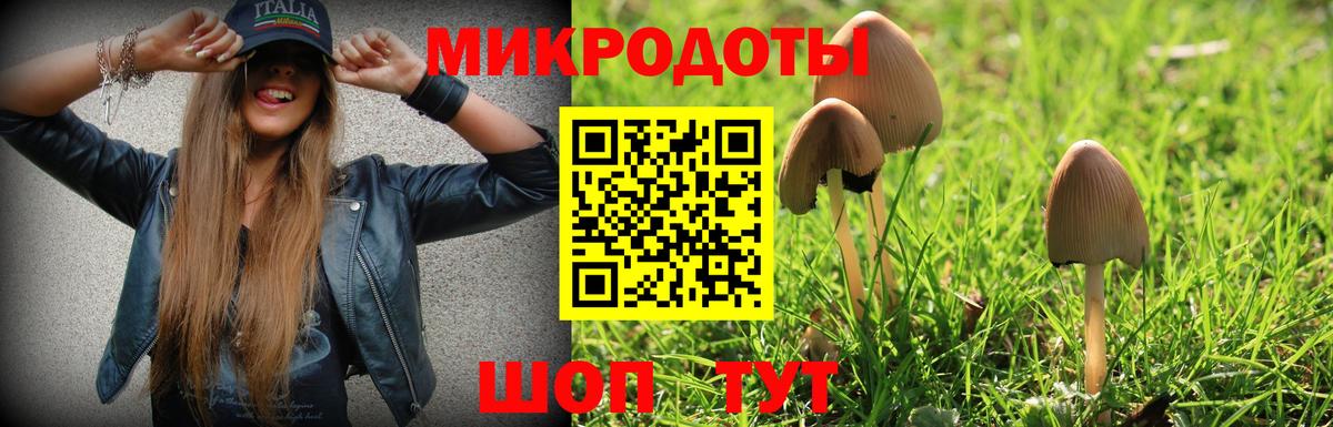Псилоцибиновые грибы Cubensis  Вход с VPN  Псилоцибиновые грибы Psilocybe  Кропоткин 